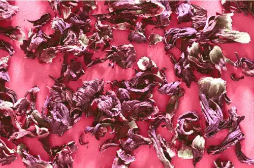 Flores de hibiscus